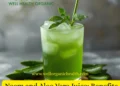 wellhealthorganic com neem and aloe vera juice