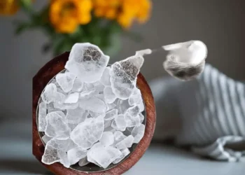 Bhimseni Kapoor Khane ke Fayde भीमसेनी कपूर खाने से कौन-कौन सी बीमारियां दूर होती हैं