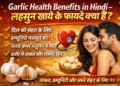 लहसुन खाये और पूरी रात बीवी की चीखे निकलवाये garlic health benefits in hindi