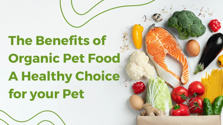wellhealthorganic organic pet food benefits