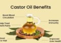 Castor Oil Benefits and Uses: A Complete Guide for Skin, Hair, and Health 17 wellhealthorganic.com benefits of castor oil