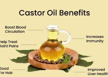 wellhealthorganic.com benefits of castor oil