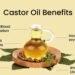Castor Oil Benefits and Uses: A Complete Guide for Skin, Hair, and Health 9 wellhealthorganic.com benefits of castor oil
