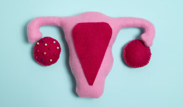 What More Women Should Know About Hormonal Health and Fibroids